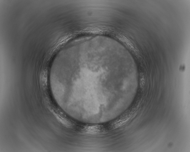 X0000116800072201001291549