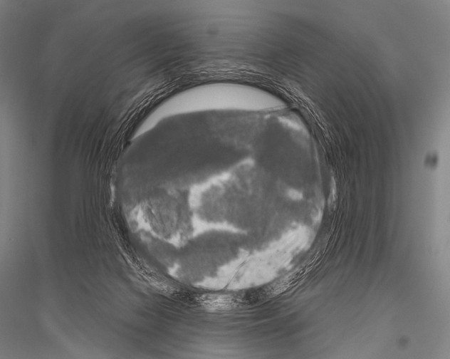 X0000116800074201001291549