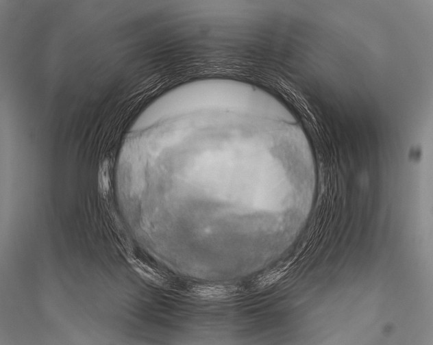 X0000116800075201001291549