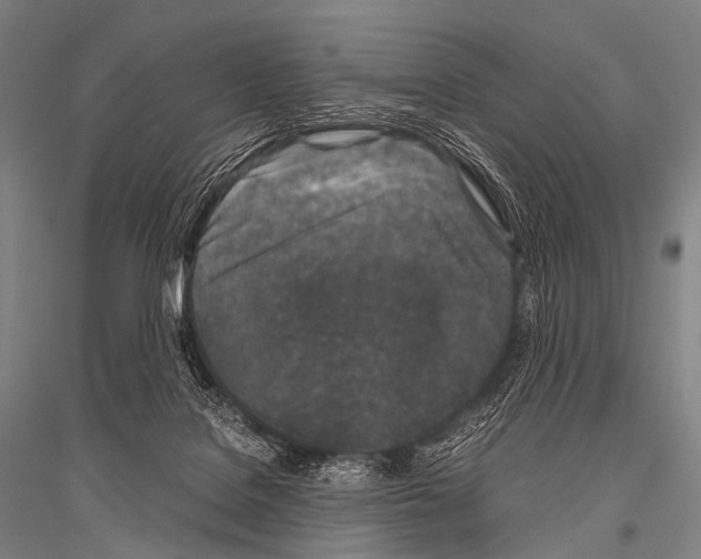 X0000116800076201001291549