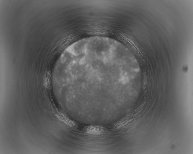 X0000116800077201001291549