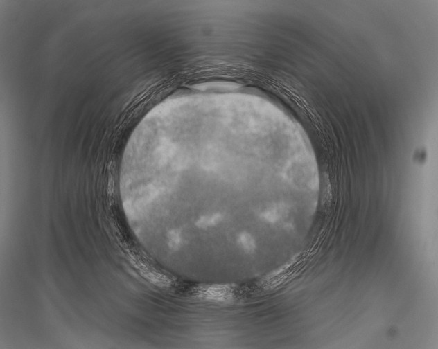 X0000116800078201001291549