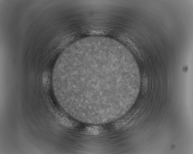 X0000116800079201001291549