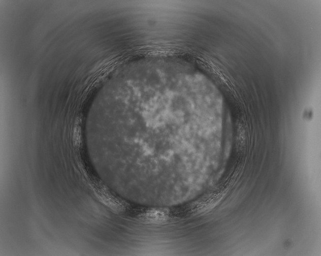 X0000116800080201001291549