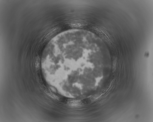 X0000116800081201001291549
