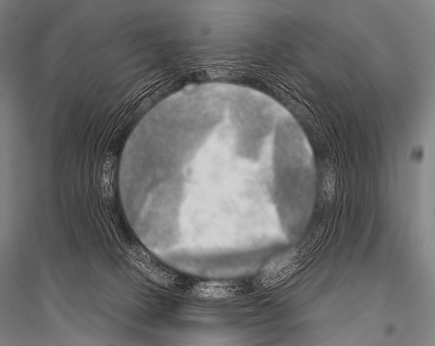 X0000116800082201001291549