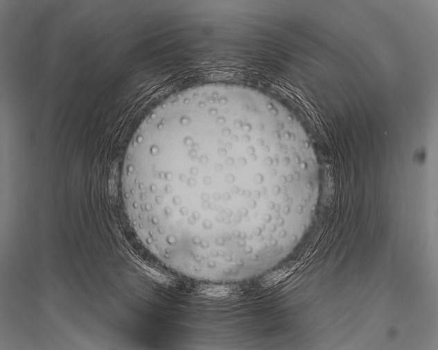 X0000116800083201001291549