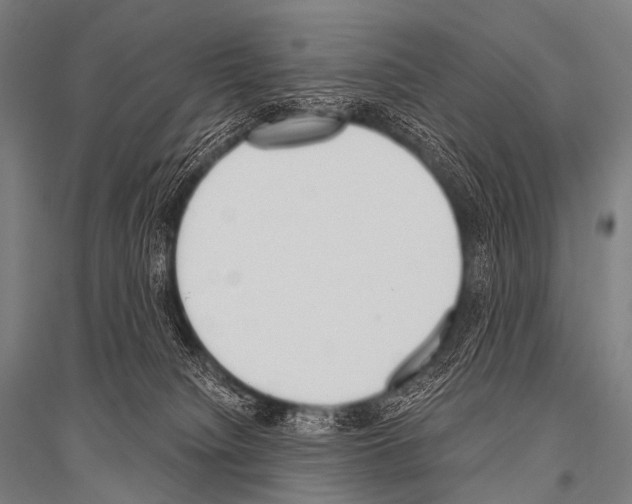 X0000116800084201001291549