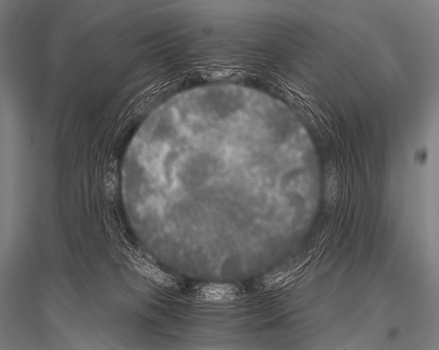X0000116800085201001291549