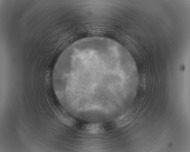 X0000116800086201001291549