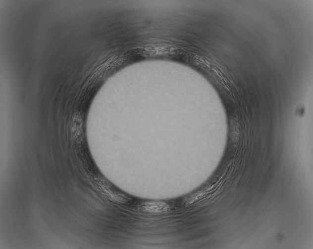 X0000116800087201001291549