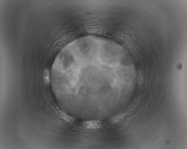 X0000116800089201001291549
