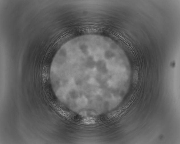 X0000116800091201001291549