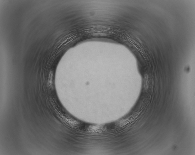 X0000116800092201001291549