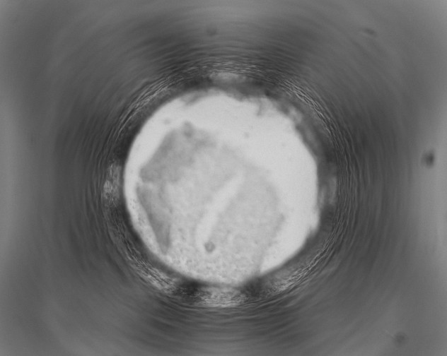 X0000116800093201001291549