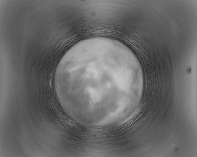 X0000116800094201001291549