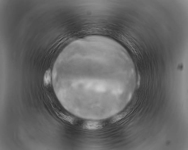 X0000116800095201001291549