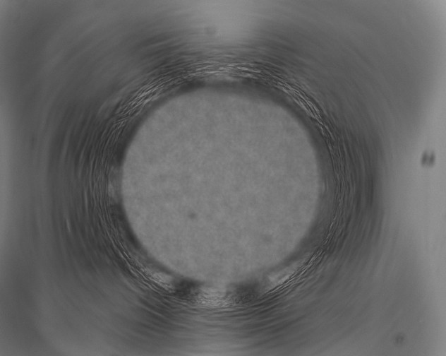 X0000116800096201001291549