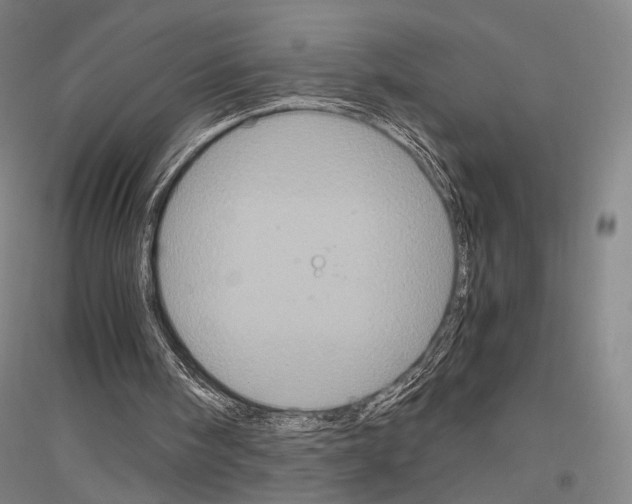 X0000116800098201001291549