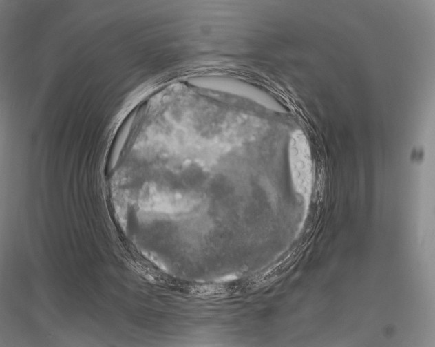X0000116800099201001291549