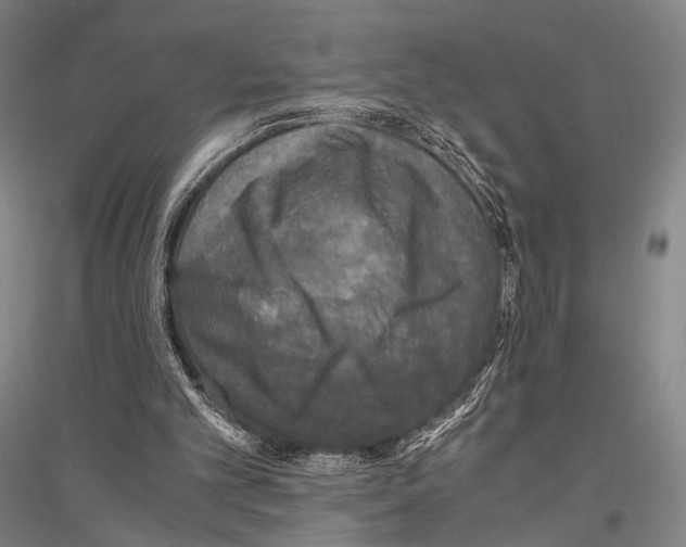 X0000116800101201001291549