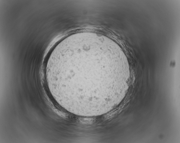 X0000116800102201001291549