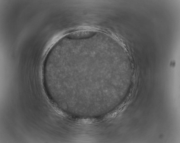 X0000116800103201001291548