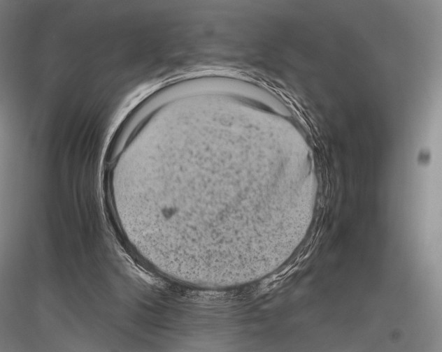 X0000116800104201001291548