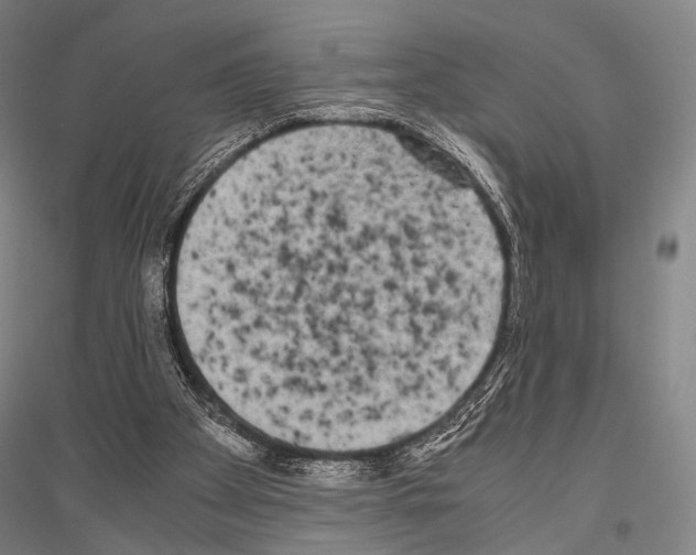 X0000116800105201001291548
