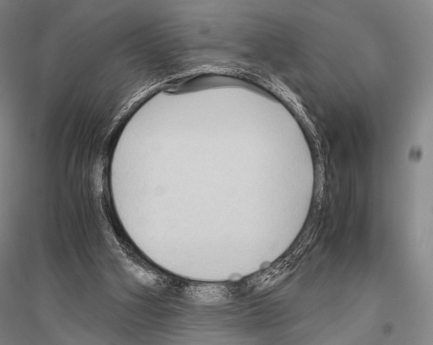 X0000116800106201001291548