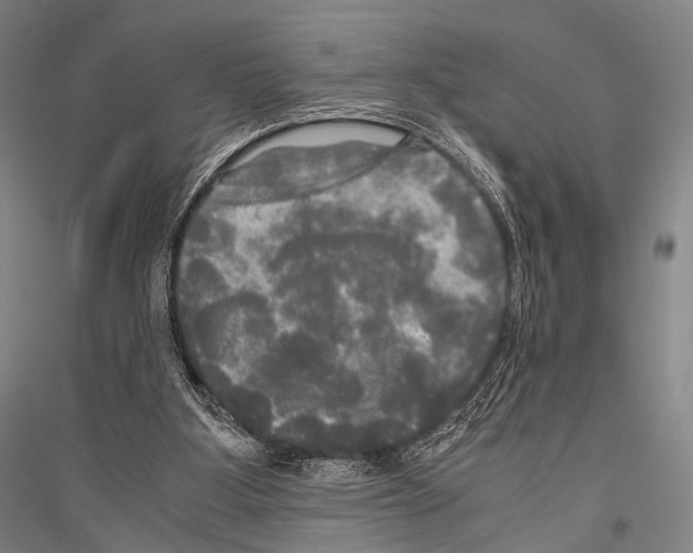 X0000116800107201001291548