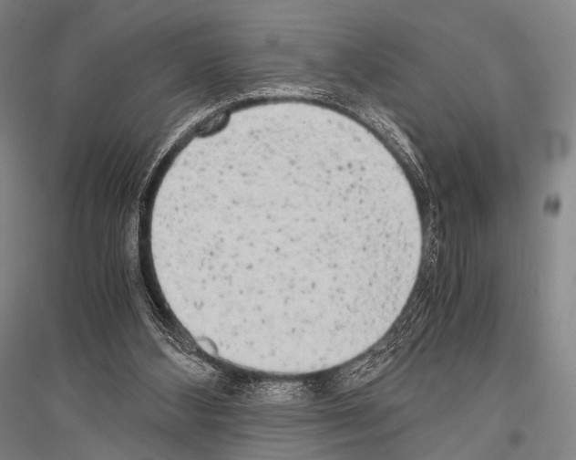X0000116800108201001291548