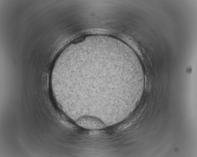 X0000116800109201001291548