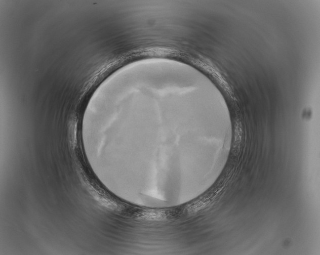 X0000116800110201001291548