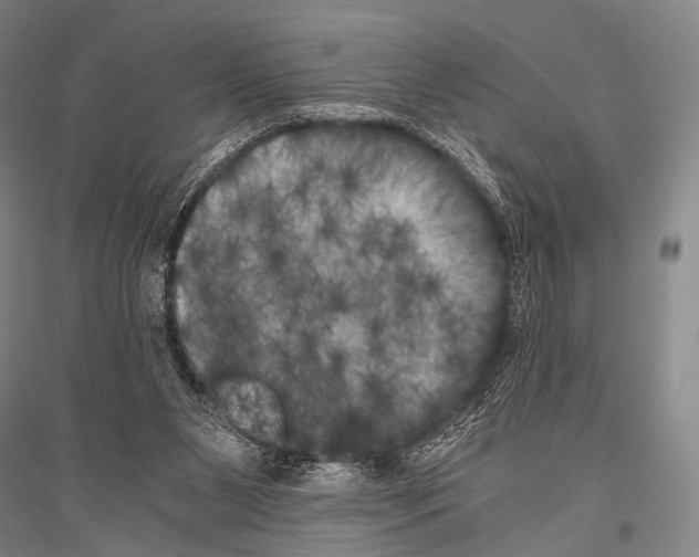 X0000116800111201001291548
