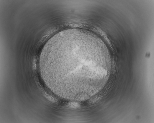 X0000116800114201001291548