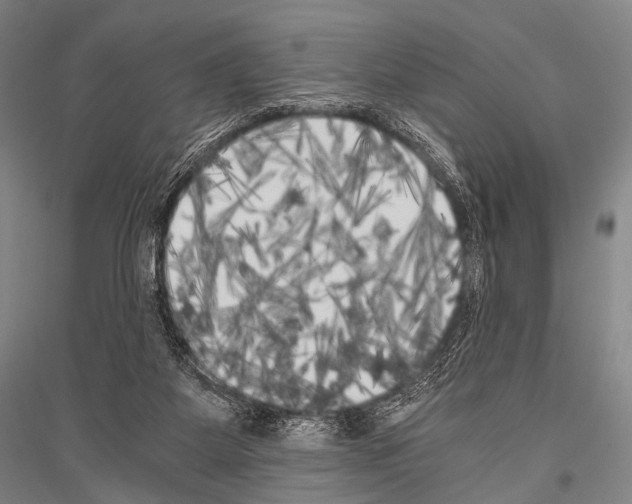 X0000116800115201001291548