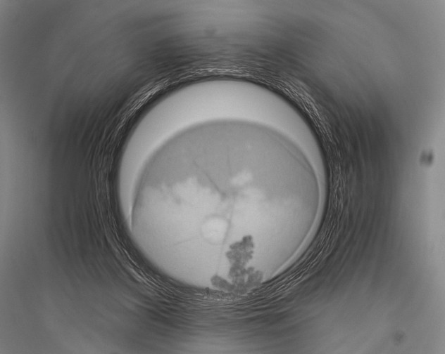 X0000116800116201001291548