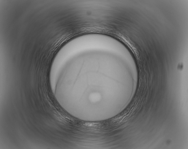 X0000116800117201001291548