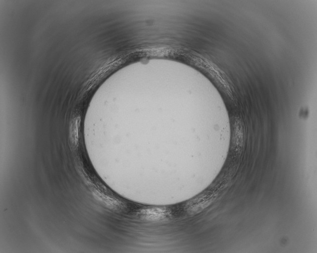 X0000116800118201001291548