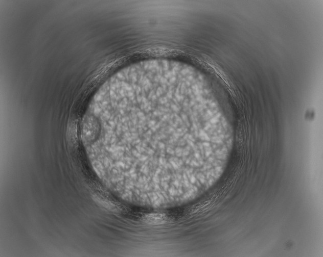 X0000116800119201001291548