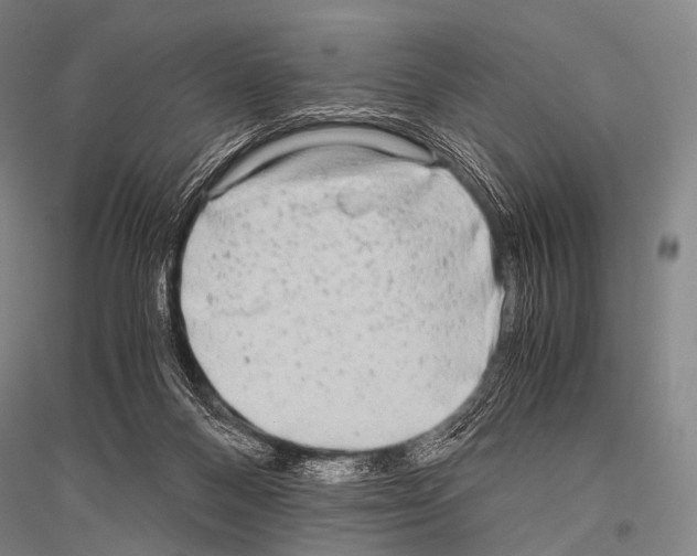 X0000116800120201001291548