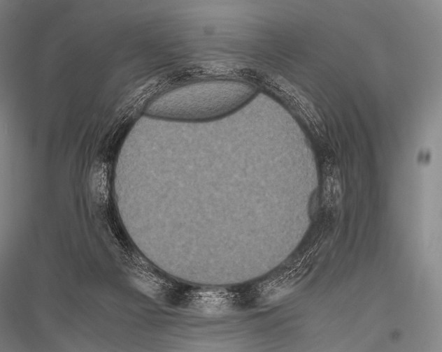 X0000116800121201001291548