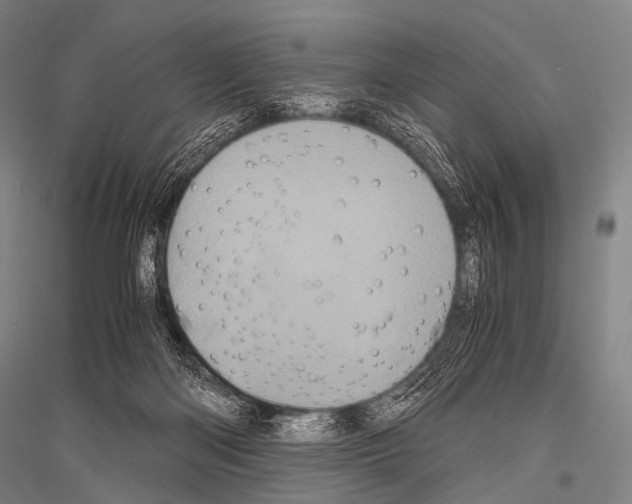 X0000116800122201001291548