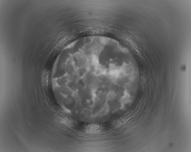 X0000116800123201001291548