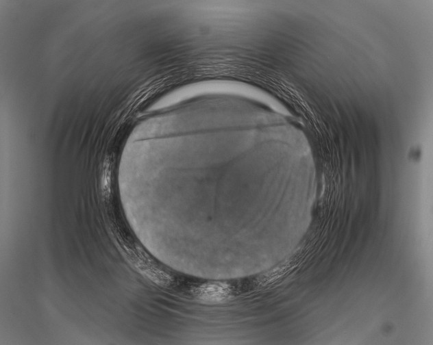 X0000116800124201001291548