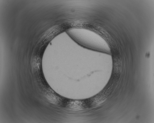 X0000116800125201001291548