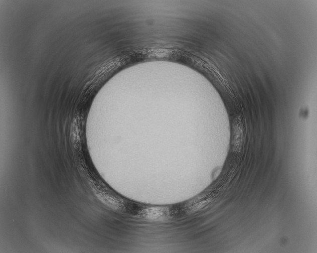 X0000116800126201001291548