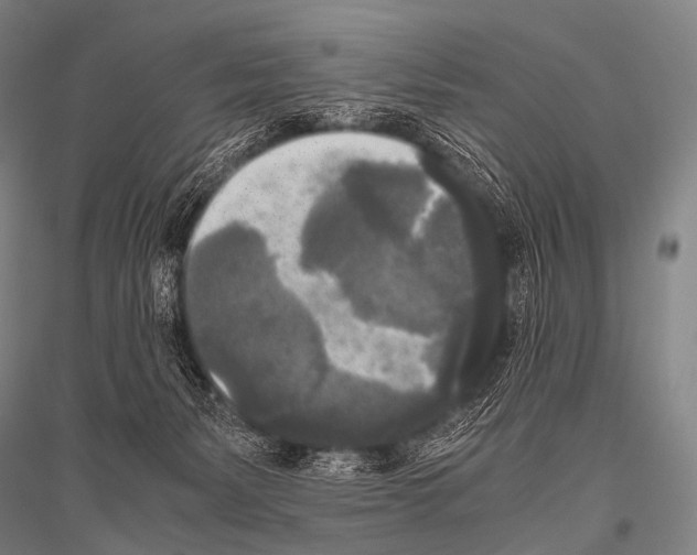 X0000116800127201001291548