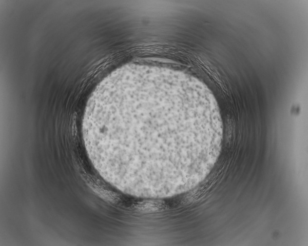 X0000116800128201001291548